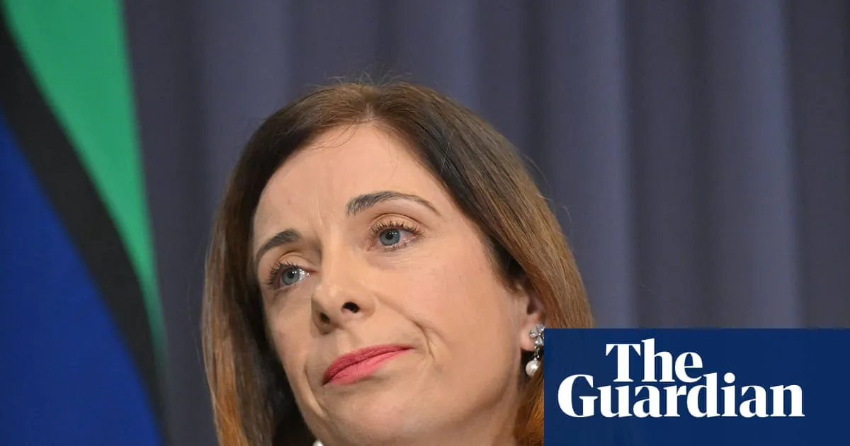 Anika Wells ridicules Angus Taylor and Barnaby Joyce for linking Telstra outage with China