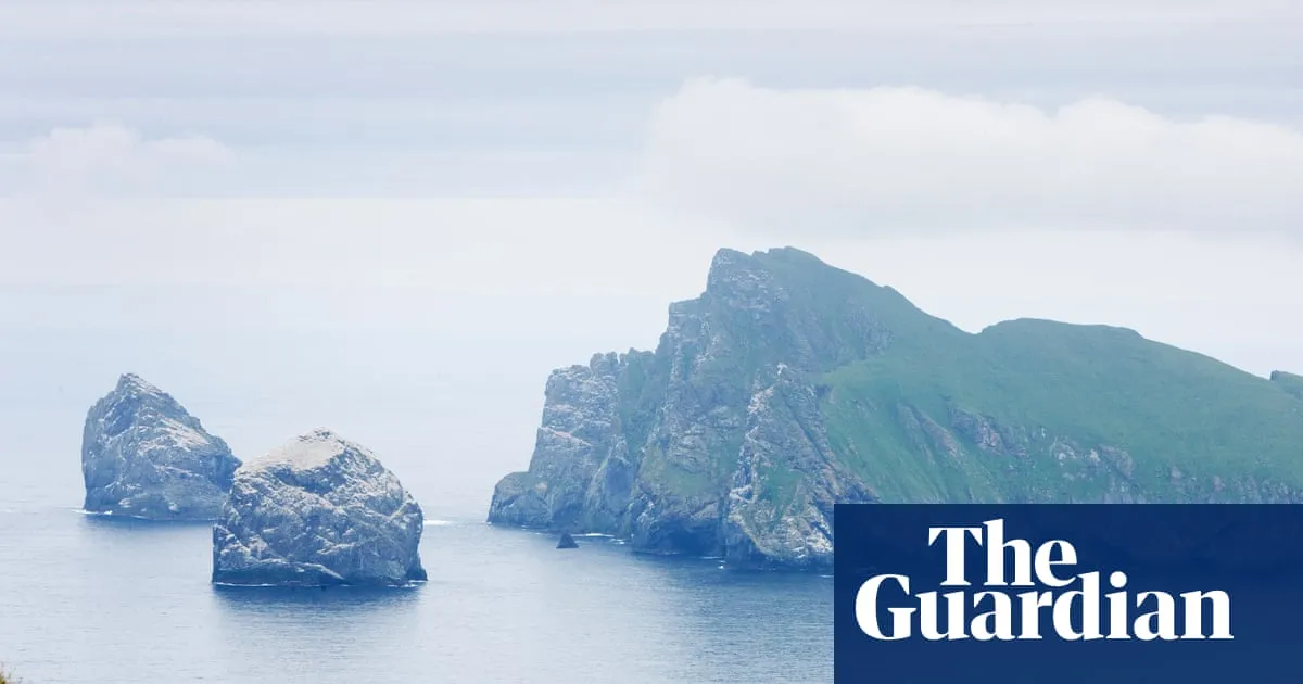 UK waters hit with extreme heatwave as global sea temperatures reach record levels