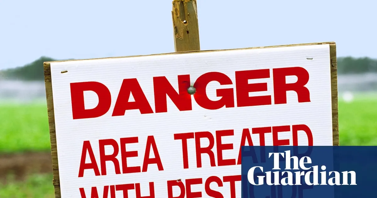 US Food and Drug Administration rejects petition to set Pfas limits in food