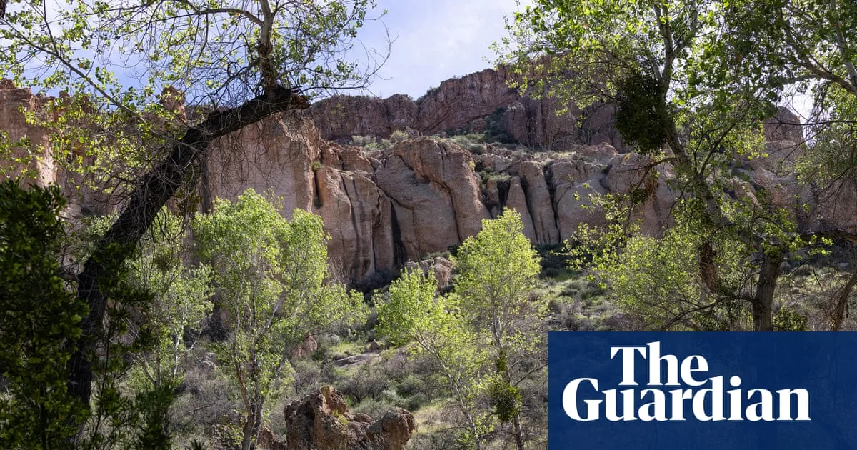 Arizona man pleads guilty after illegally living in forest for years among ‘1,000lbs of trash’