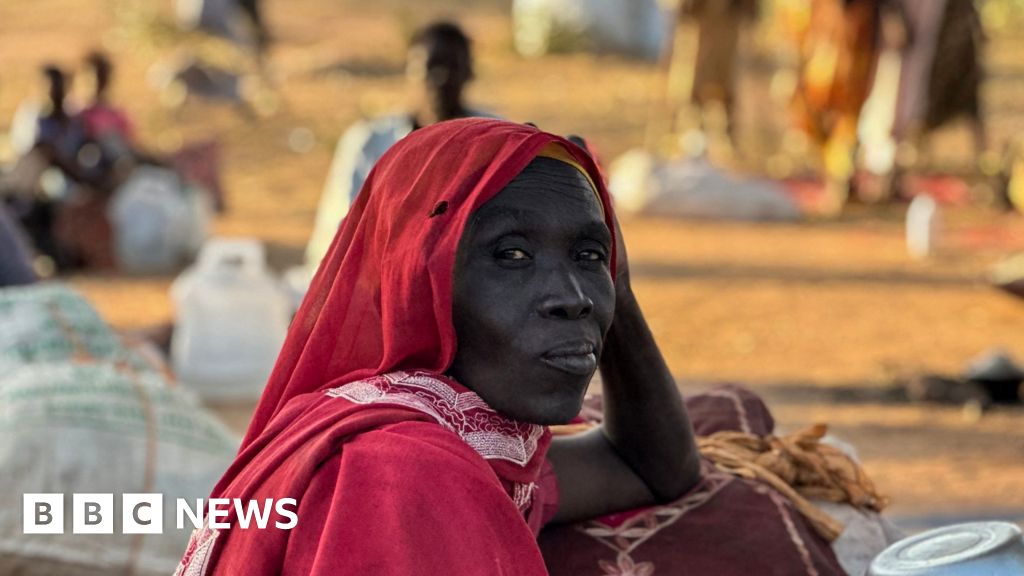 International court tells BBC of breakthrough in Sudan war crimes probe
