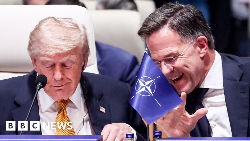 Nato chief tells BBC that Trump comments are like 'family argument'