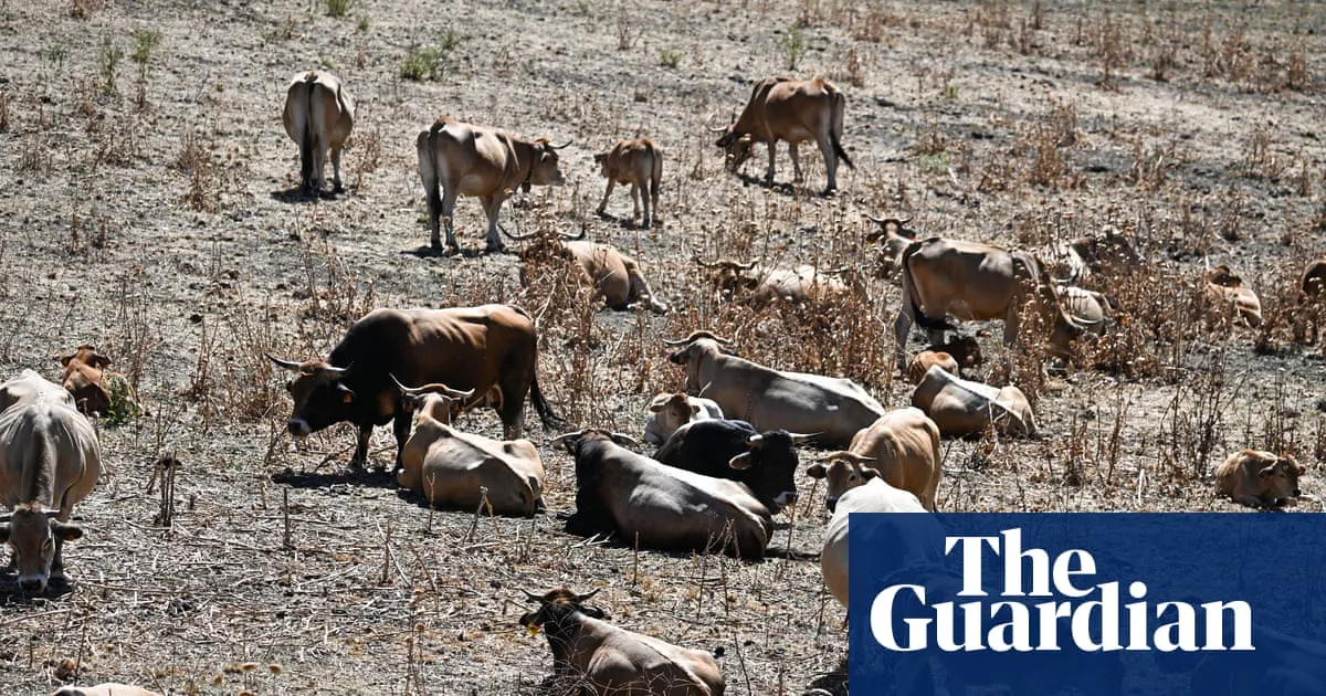 Western Europe records hottest-ever June as heatwaves intensify