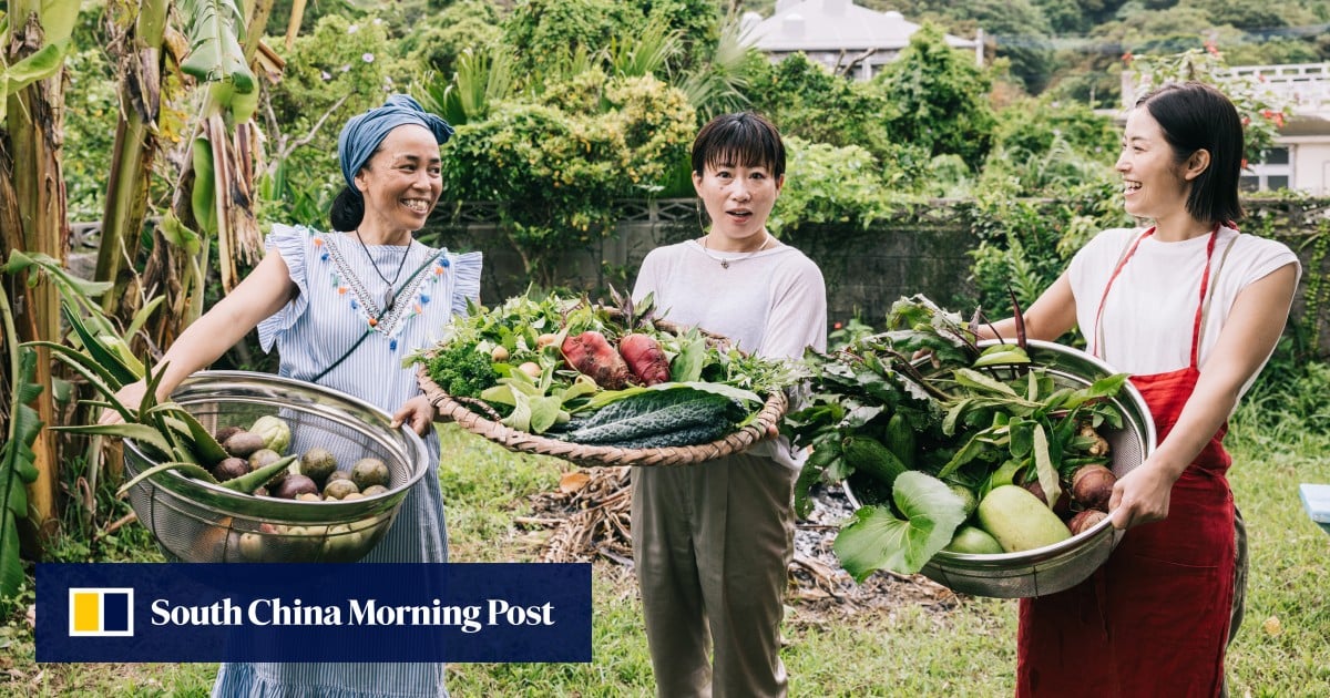 Japan’s Okinawa loses longevity crown as slow living makes way for faster, shorter future