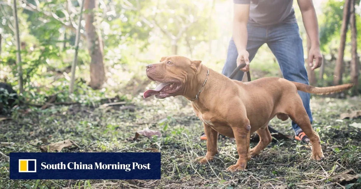 Girl in Germany dies after family dog bites her