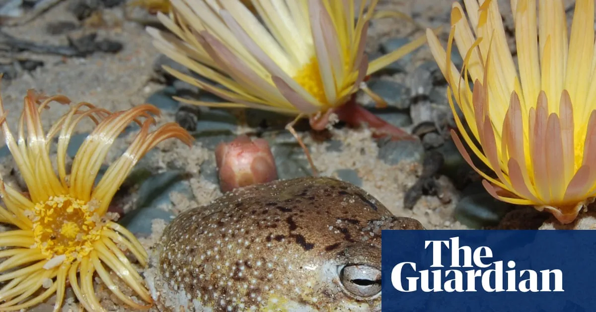 Species’ ingenious survival strategies no match for human destruction, red list reveals