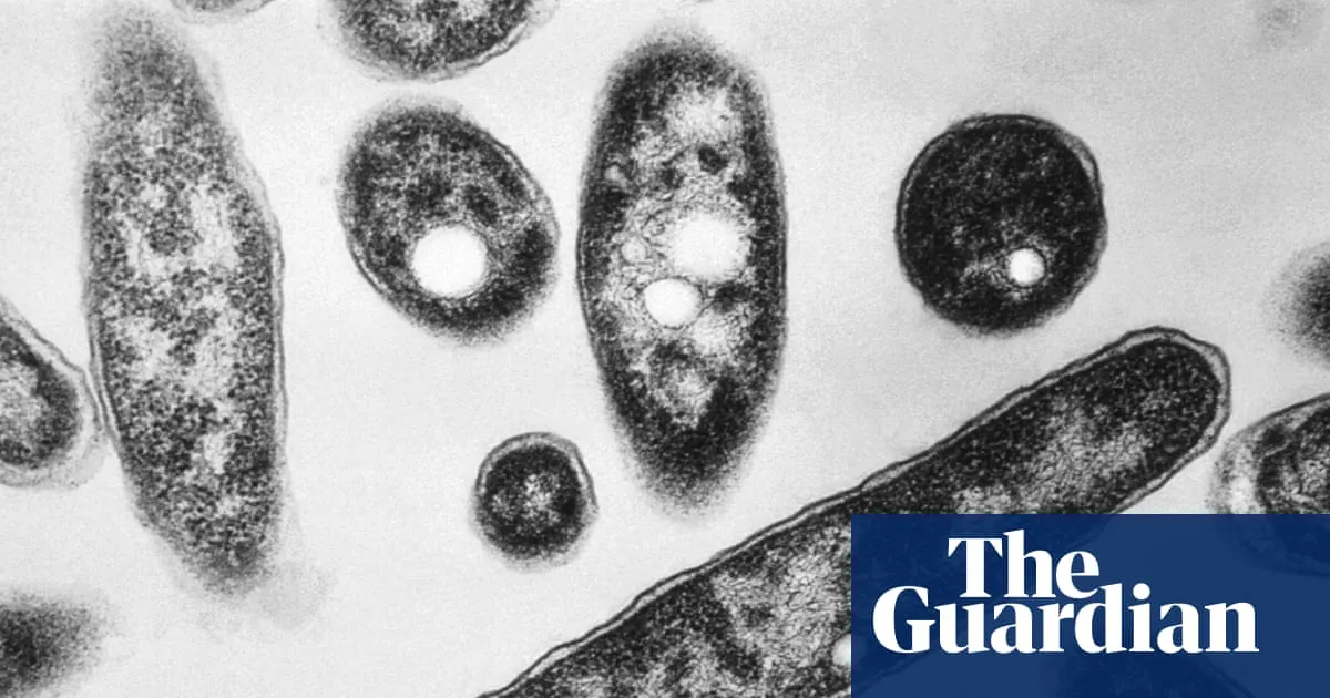 Legionnaires’ outbreak rocks New York as experts warn of rising climate threat