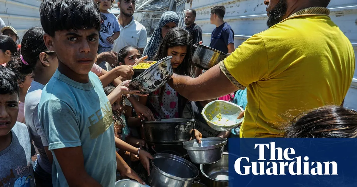 IDF accused of ‘field execution’ of Palestinian driver bringing aid into Gaza