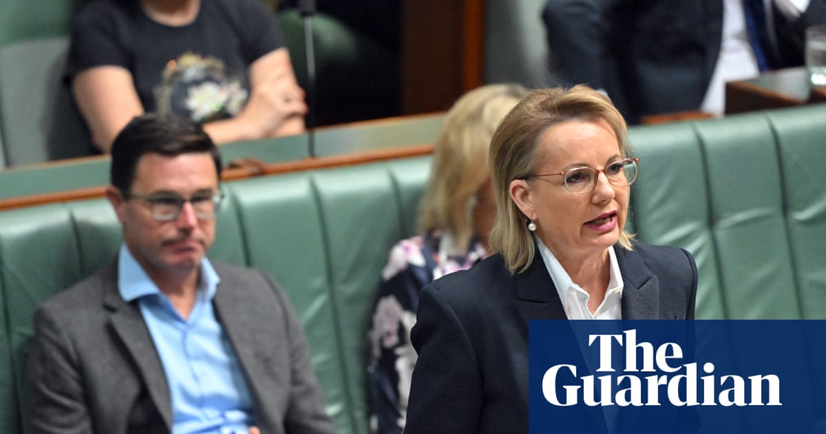 Nationals frontbenchers who crossed floor on hate speech vote say Sussan Ley to decide their fate