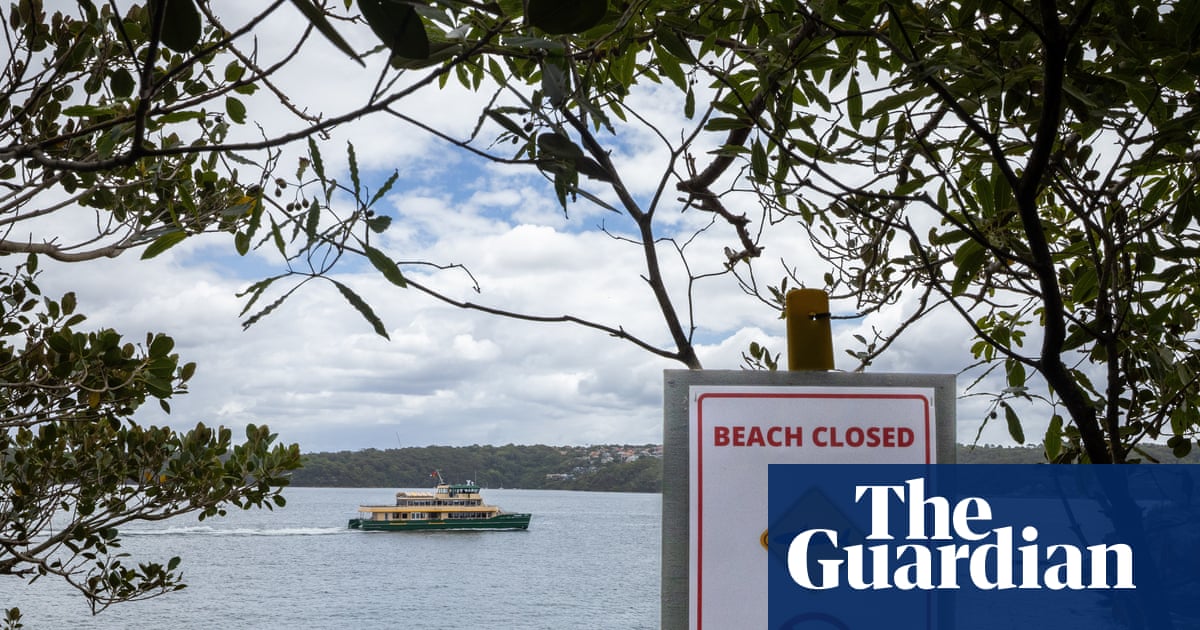 Family of 12-year-old Sydney Harbour shark attack victim prepare for ‘worst possible outcome’