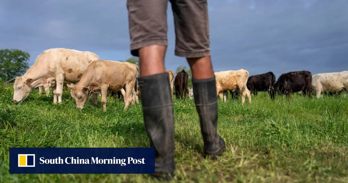 USDA lowers reported beef export sales by 90% amid growing doubts over data