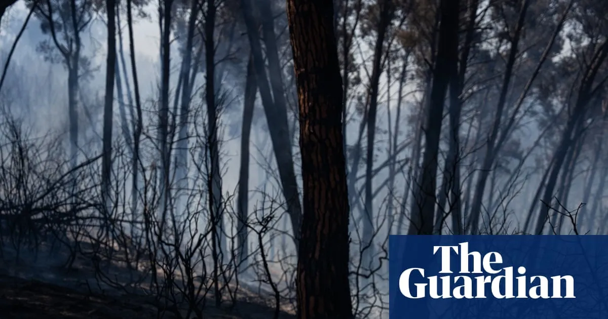Wildfires in southern Spain kill 12 amid soaring temperatures