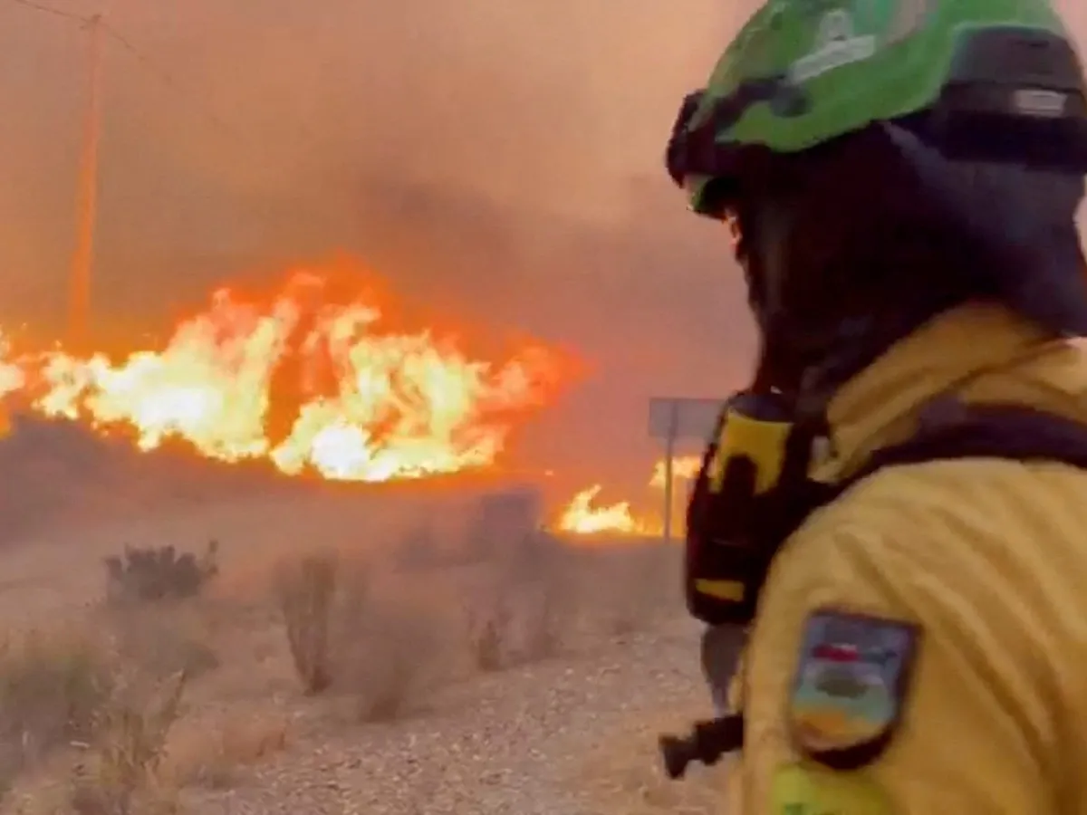Wildfires in southern Spain kill at least 12