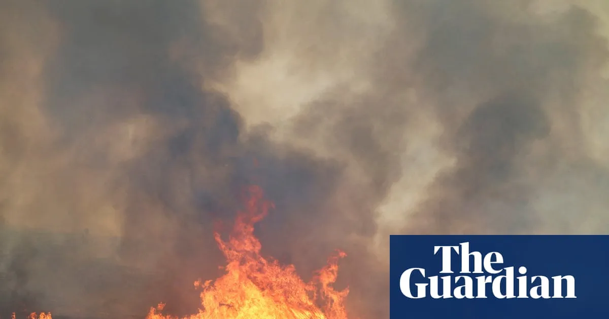 ‘The worst possible combination’: what has caused Spain’s deadly wildfires?