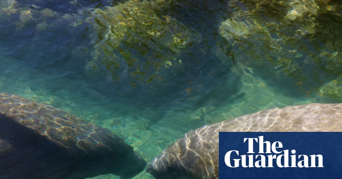 EPA to open habitats of endangered species to logging and mining