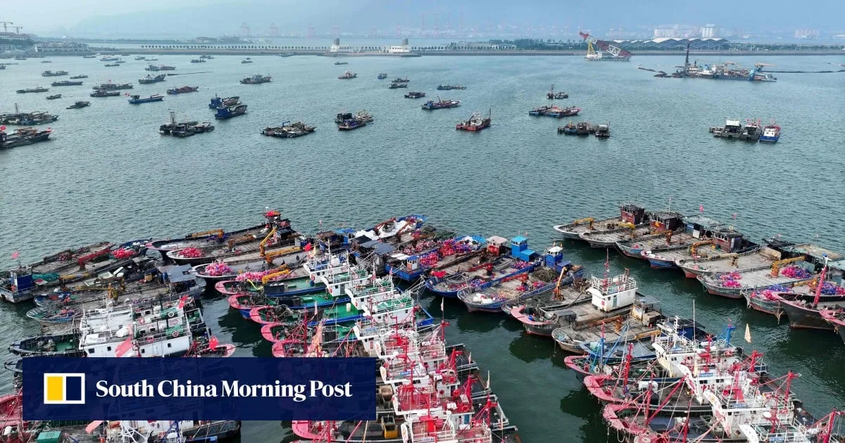 As Typhoon Bavi nears, Chinese bloggers warned amateur AI forecasts may be illegal