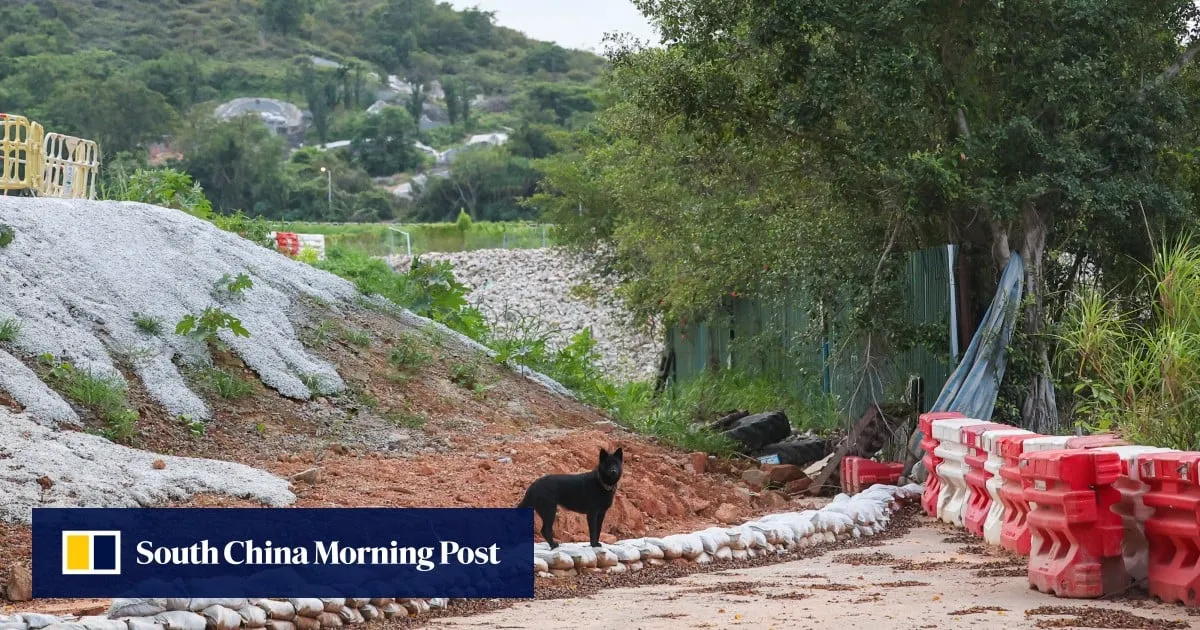 Surge in abandoned animals amid land clearance for Northern Metropolis development