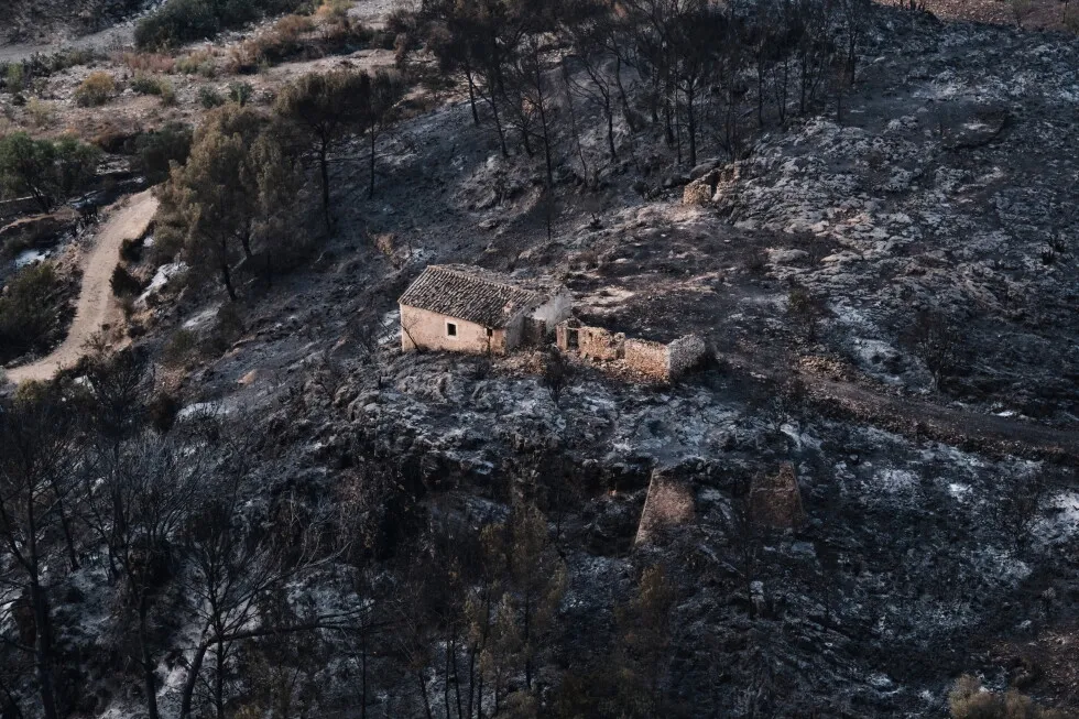 Hundreds of firefighters battle wildfire in southern Spain that killed at least 12