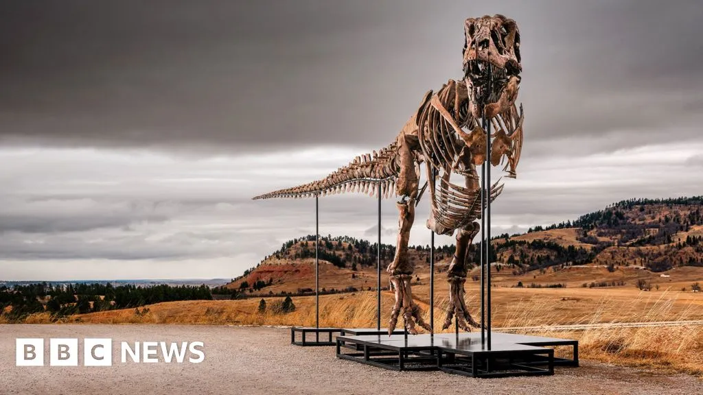 T. rex could become most expensive fossil ever - but it's a ​problem for scientists