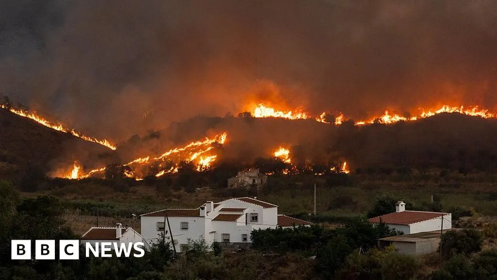 Badly burned British couple rescued from ravine during Spain wildfires, reports say 
