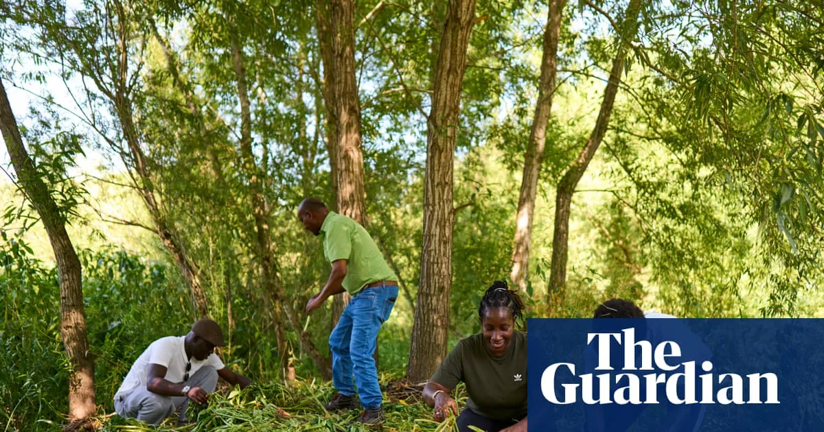 ‘We plant belonging’: how nature charities and asylum seekers work together in UK countryside
