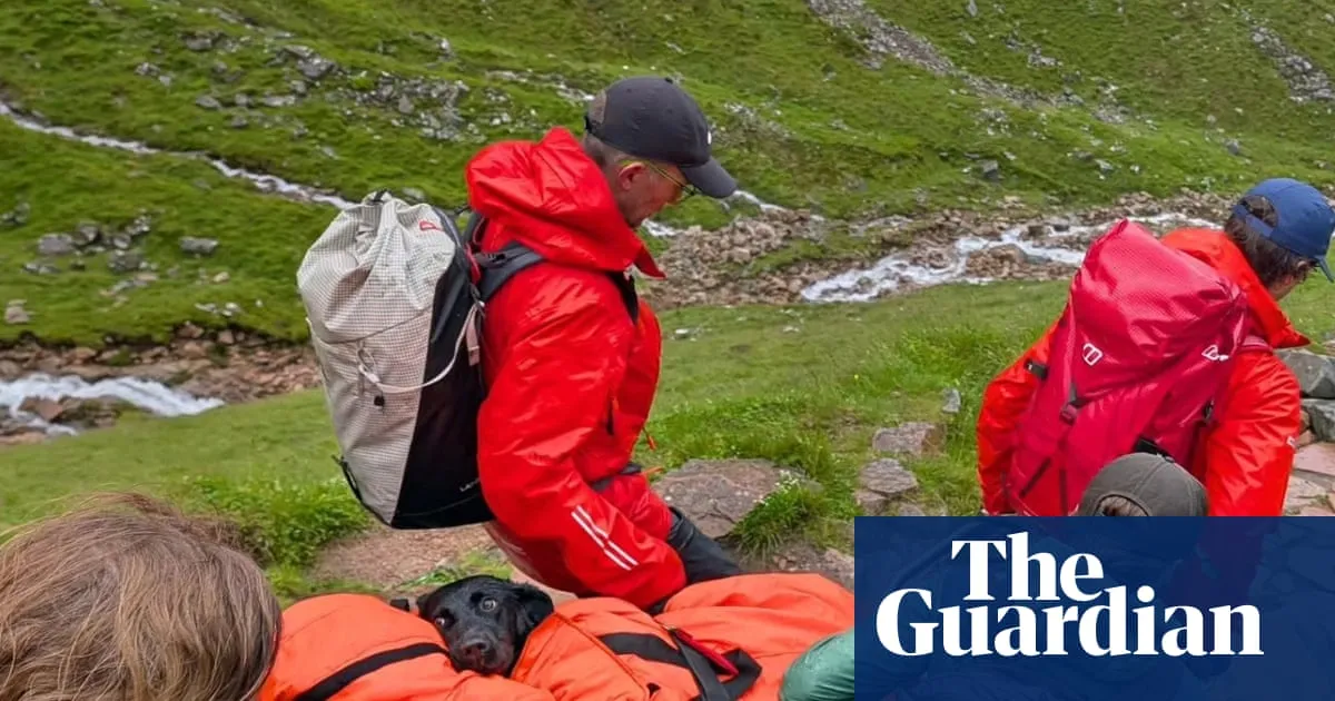 Labrador rescued after ‘eating discarded cannabis’ on Ben Nevis hike