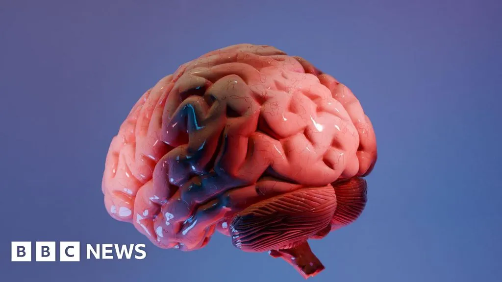 How Indian scientists are mapping the brain's last frontier