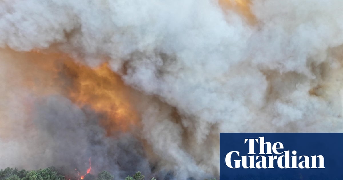 Fire bomber planes battle Fontainebleau forest blaze near Paris