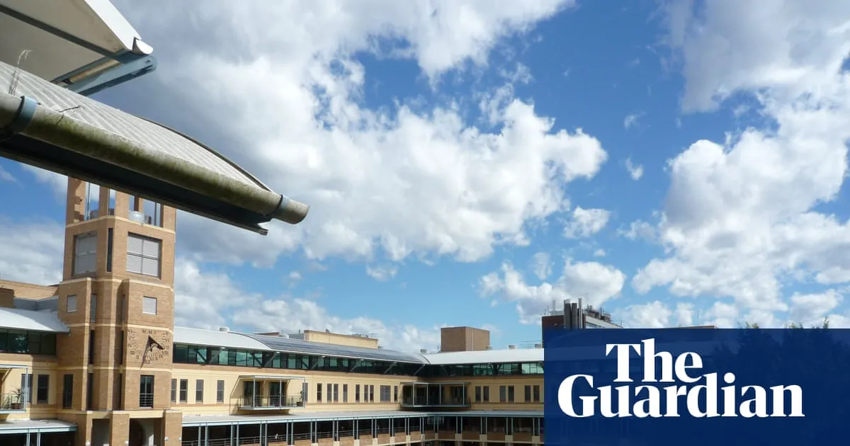 UNSW academic subjected to Nazi salutes in class, antisemitism commission hears