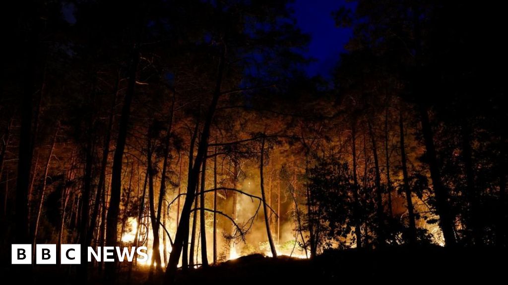 Planes sent to tackle wildfires of 'exceptional scale' near Paris