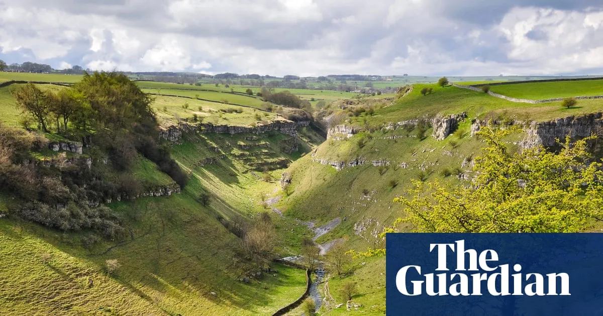 Plan to restore nature in England by 2030 criticised as ‘completely insufficient’