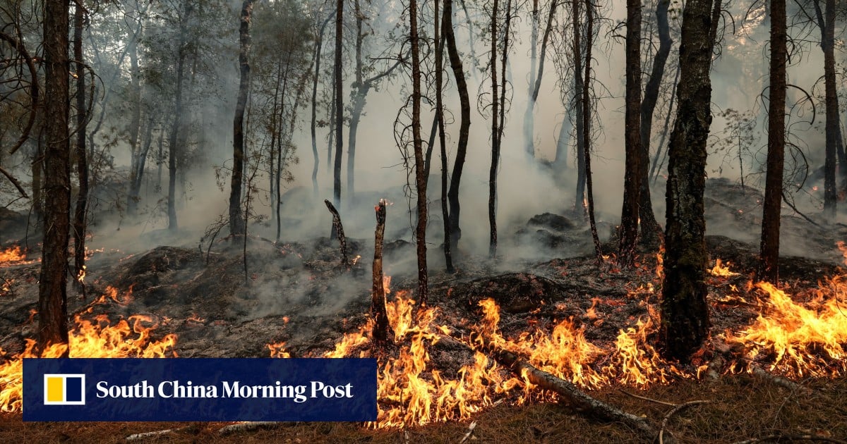 2 arrested over Fontainebleau forest fire near Paris, interior minister says