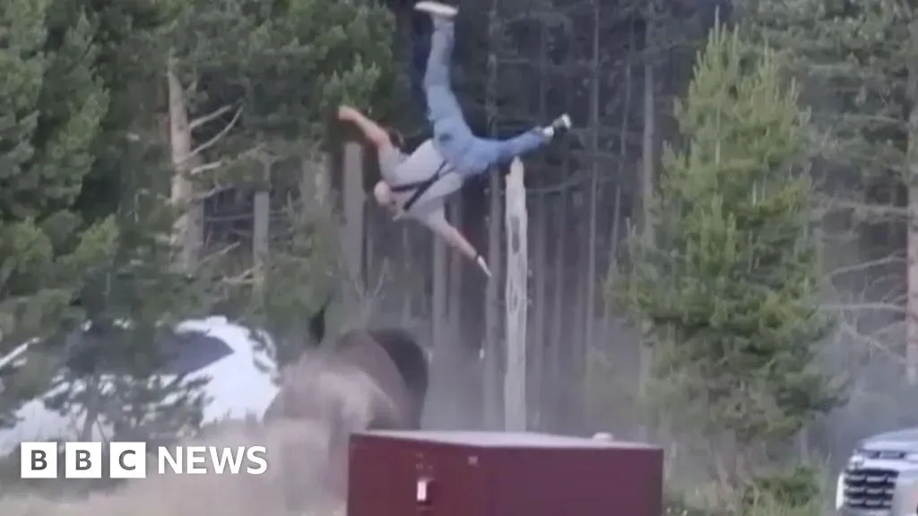 Bison rams grandfather in Yellowstone Park, knocking him metres into the air