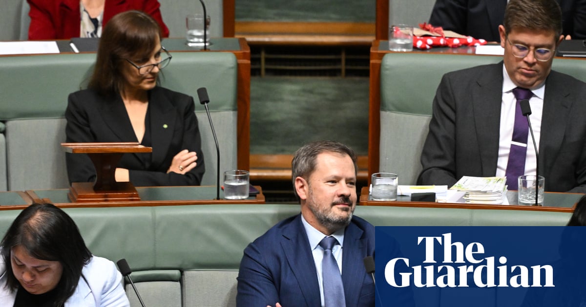 Ed Husic tells Labor to get tougher on AI companies as letting them self-regulate ‘doomed to fail’