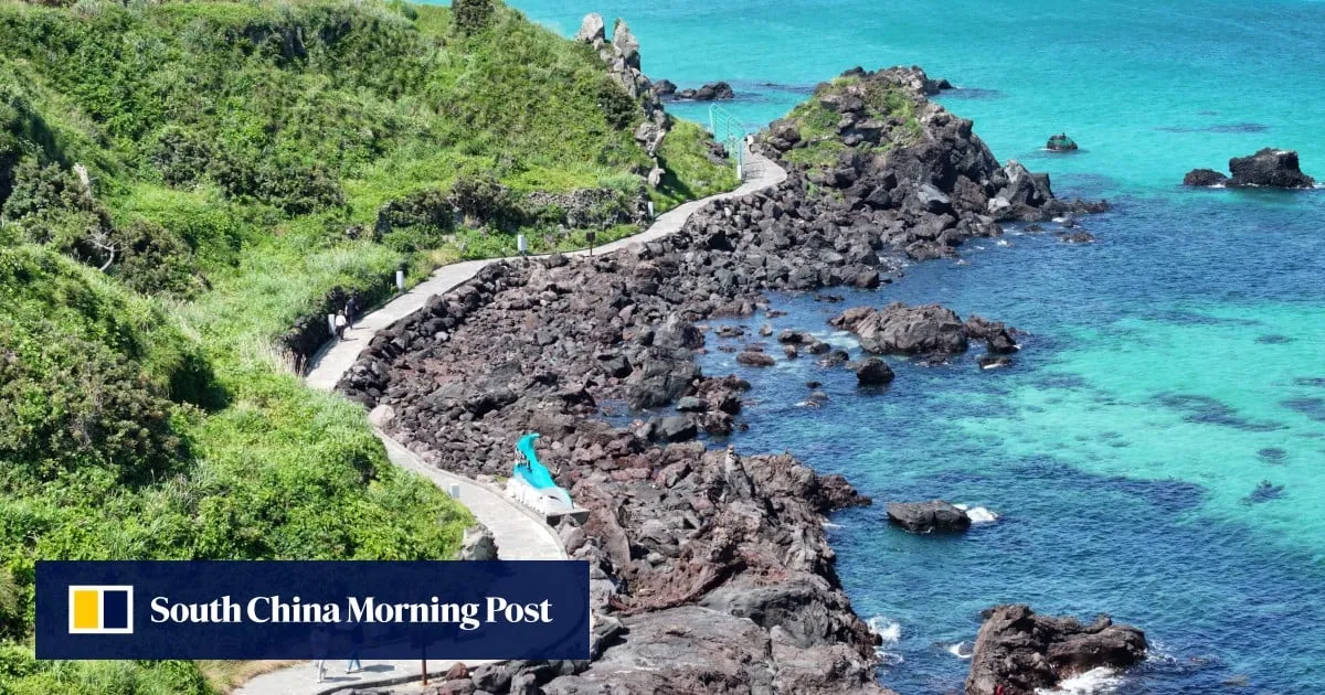 Jeju plan to allow Chinese tourist drivers stokes safety backlash in South Korea