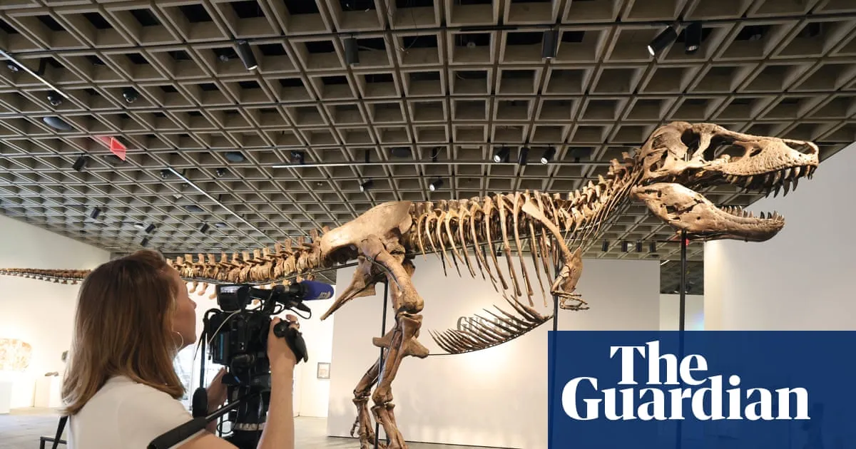 Sale of multimillion-dollar T rex skeleton is big headache for scientists