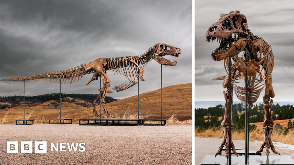 Tyrannosaurus rex most expensive dinosaur ever sold