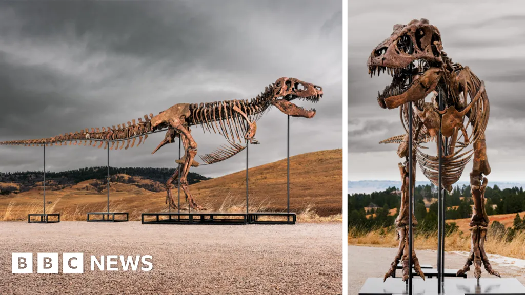 Tyrannosaurus rex most expensive dinosaur ever sold
