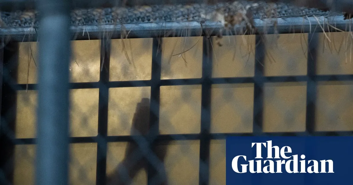Tuberculosis outbreak at Colorado ICE jail sickens at least 12 detainees