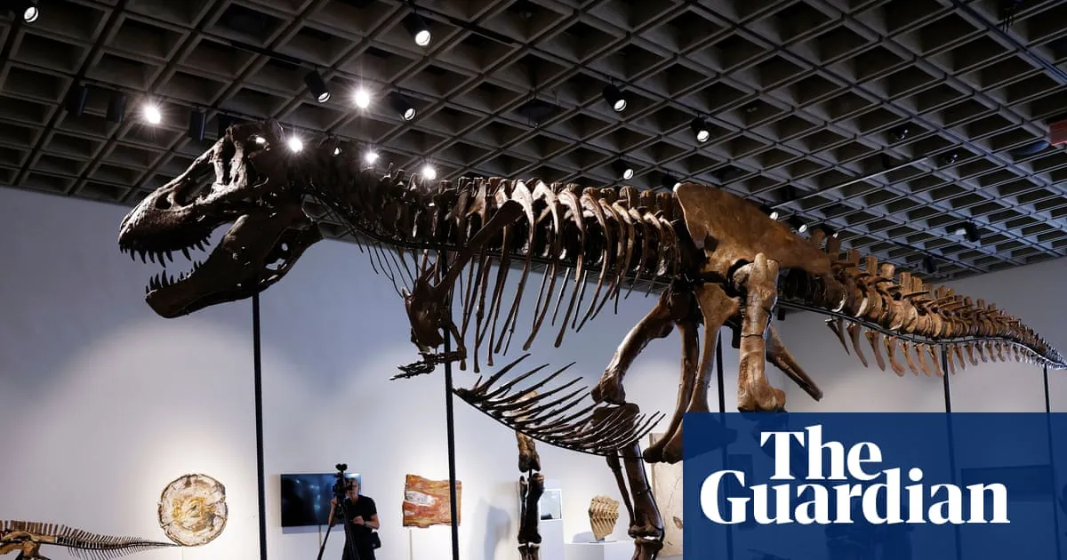 T rex fossil ‘Gus’ sells for $50.1m at New York auction, setting new record