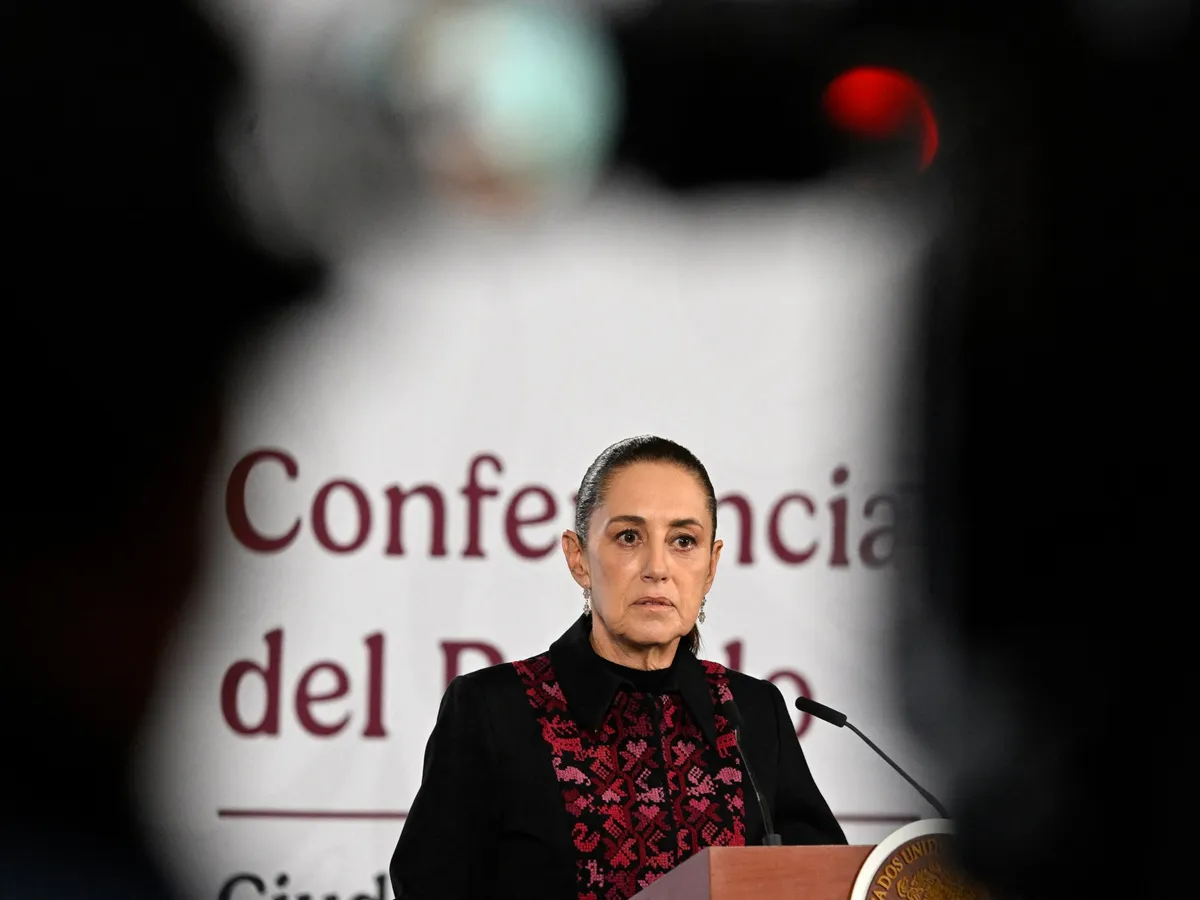 Mexico begins legal action in US over deaths of its citizens in ICE custody