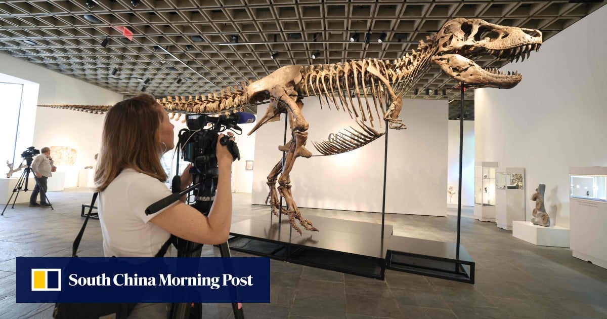 ‘Gus’ the T. rex fetches record US$50.1 million at US auction
