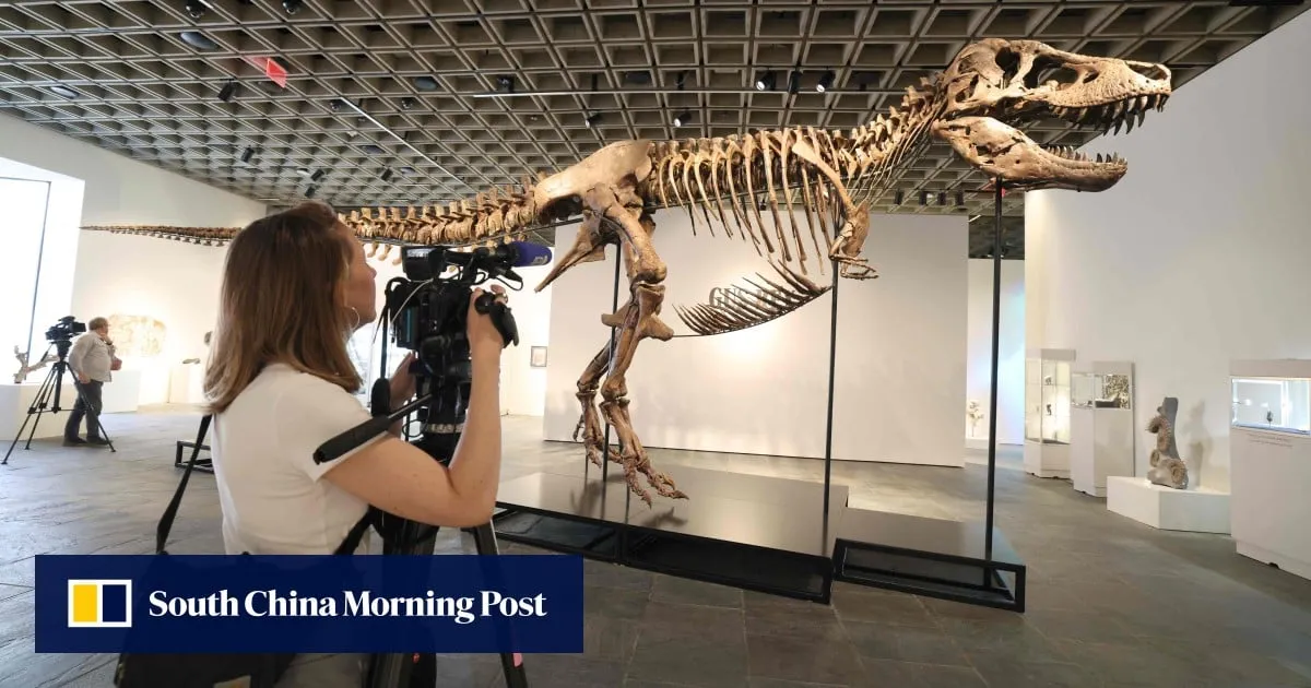 ‘Gus’ the T. rex fetches record US$50.1 million at US auction