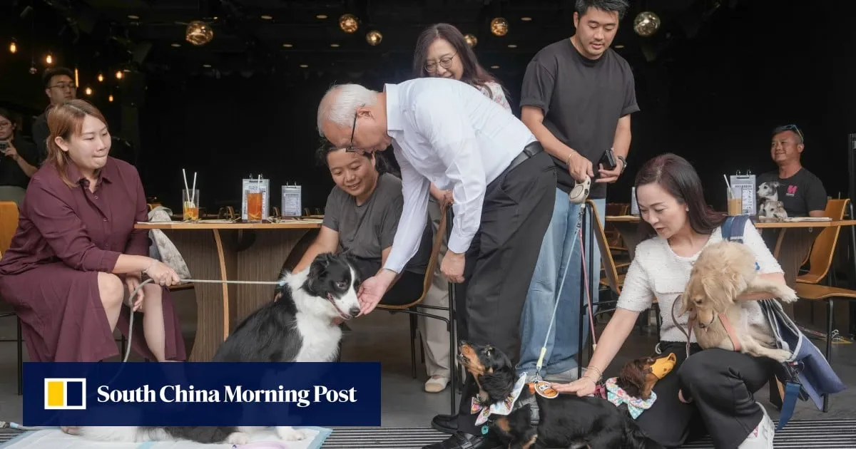 Watchdog urges pet owners to be mindful of terms and conditions of insurance plans