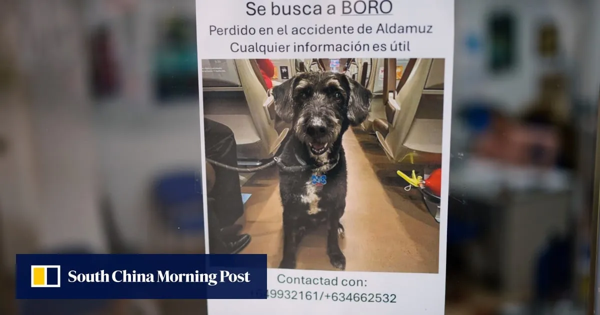 After Spain train crash, search for missing dog grips the nation: ‘he is family’