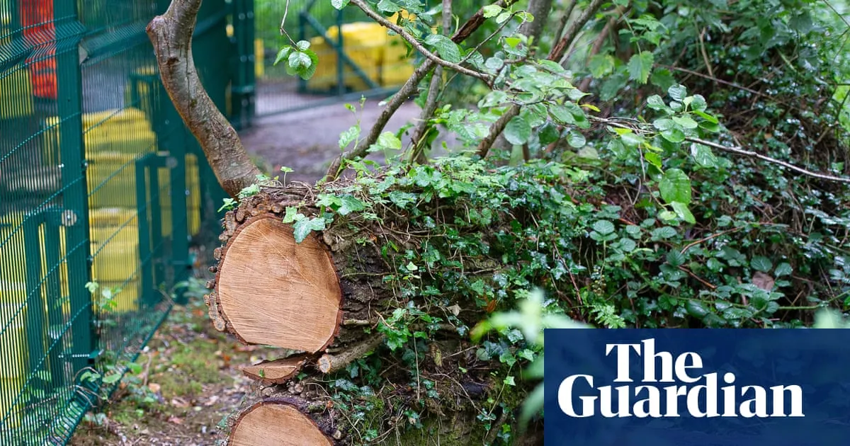 Burnham urged to drop ‘flawed’ plans that may let developers bypass environment laws for £1