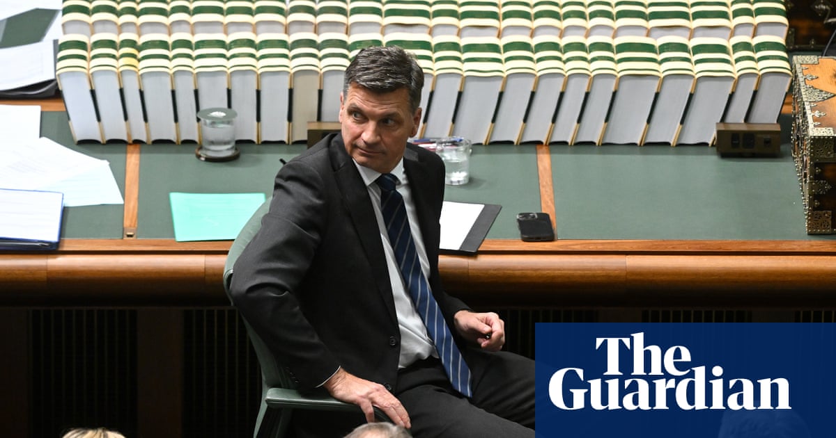 Liberals say ‘all options’ should be considered despite Angus Taylor hosing down gender quota proposal
