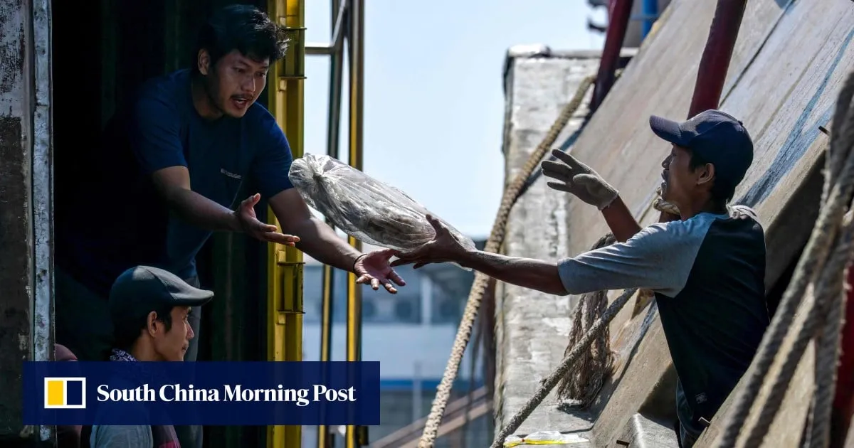 Indonesian migrant fishers hooked by false promises, reeled into slavery on high seas