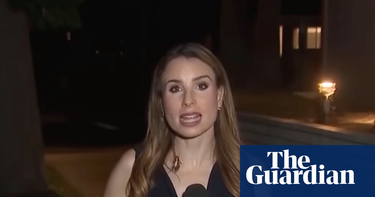 Cool, calm and creepy-crawly: reporter unfazed by cockroach cameo on live TV