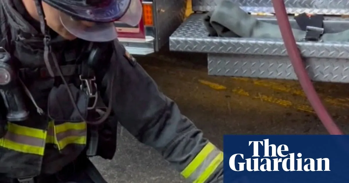 ‘The pigeon came to them seeking help’: California firefighters give oxygen to suffering bird